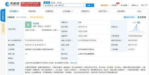 深见网络科技注销，金拱门中国为大股东引发行业关注
